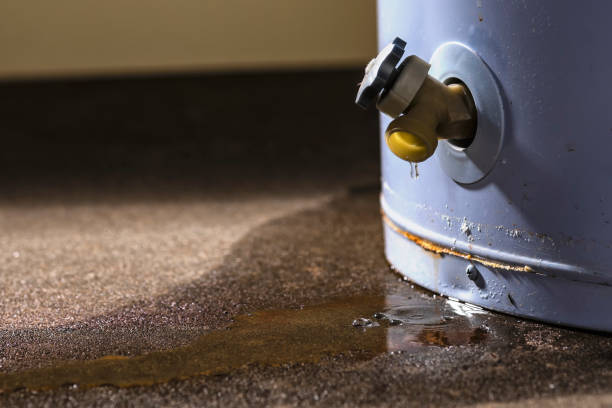 Reliable Maysville, MO Water damage restoration Solutions