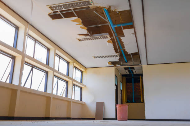 Best Local water damage restoration  in Maysville, MO