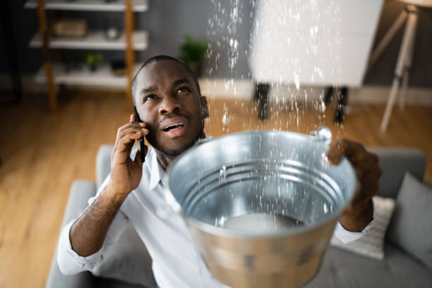  Maysville, MO Water damage restoration Pros