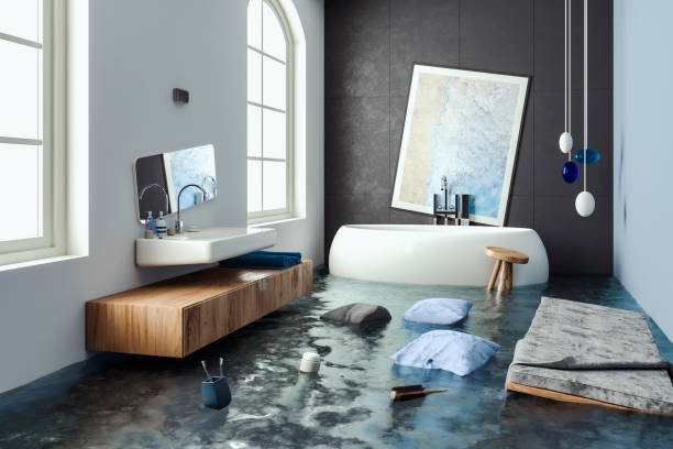 Best Water damage restoration near me  in Maysville, MO