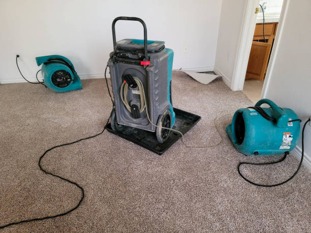  Maysville, MO Water damage restoration Pros