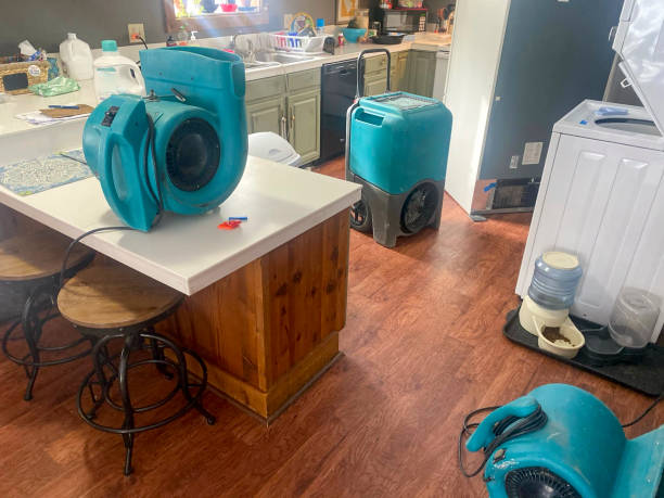 Best Local water damage restoration  in Maysville, MO