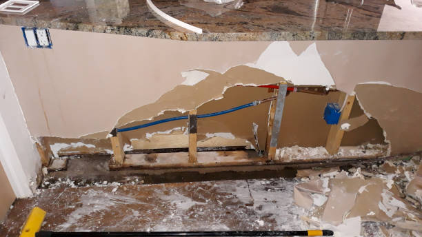Best Basement water damage restoration  in Maysville, MO