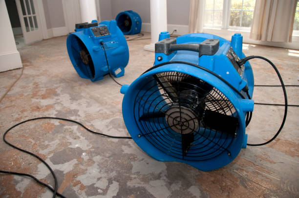 Best Water damage contractors near me  in Maysville, MO