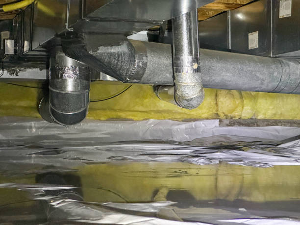 Best Sewage cleanup and water damage restoration  in Maysville, MO